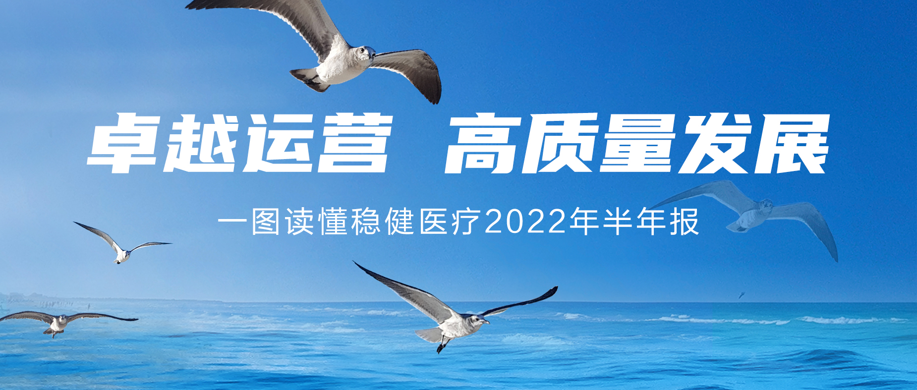 һͼpaӹٷվ2022걨