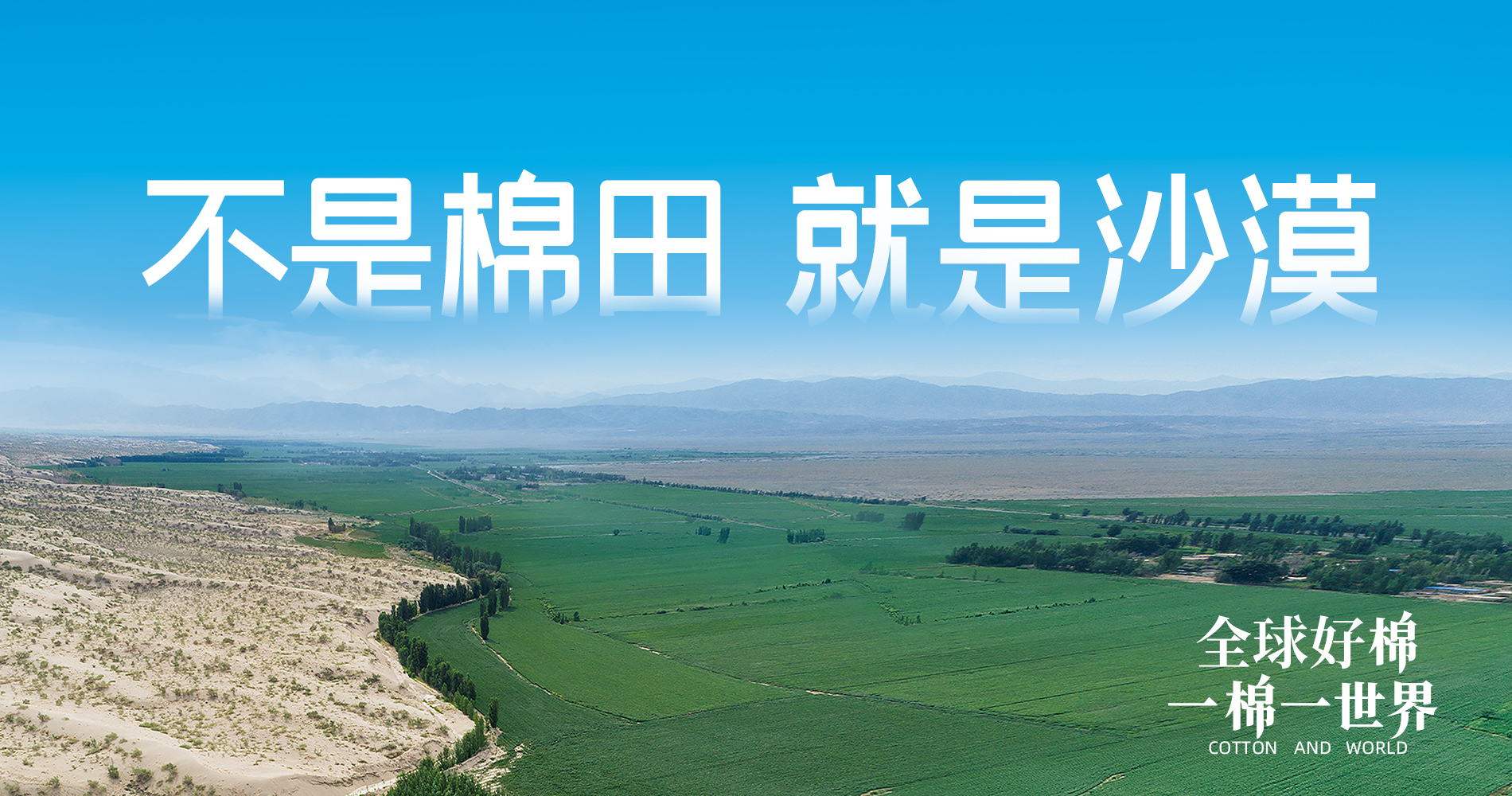 pa���ӹٷ���վ���Ŷ��»��Ԫ������